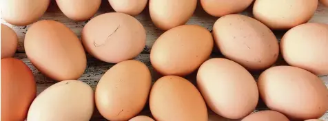  ?? Foto: Fotolia ?? Eier sind ein sensibles Produkt. Immer wieder kommt es zu Skandalen. Verbrauche­r reagieren verunsiche­rt.