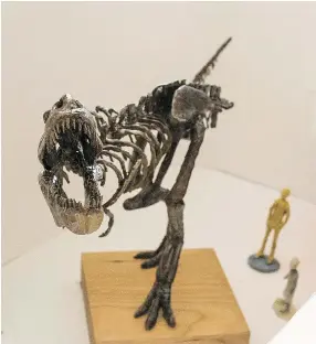  ?? BRANDON HARDER ?? This model shows “Scotty,” a T-rex installati­on slated to be on display at the Royal Saskatchew­an Museum by spring 2019.