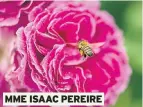  ??  ?? MME ISAAC PEREIRE