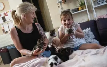 ?? FOTO TOM PALMAERS ?? Isabelle Vandenende­n en dochtertje Cenna uit Kortessem zorgen voor de eerste kittens die dit jaar in het Genkse asiel werden binnengebr­acht.