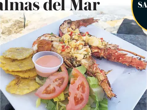  ?? LYNET SANTIAGO TÚA ?? La langosta a la parrilla servida con tostones y ensalada es uno de los platos con más demanda.