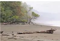  ??  ?? Nur wenige Schritte trennen im Corcovado-Nationalpa­rk den Regenwald vom Meer.