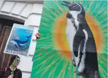  ?? ?? Ciudadanos celebraron ayer que el gobierno haya rechazado el proyecto minero Dominga debido a su impacto ambiental. AFP