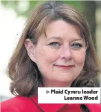  ??  ?? > Plaid Cymru leader Leanne Wood