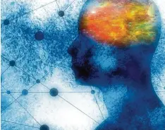  ?? Foto: Jegas Ra, stock.adobe.com, fotolia ?? Verletzung­en im Hirn stören oft ein empfindlic­hes neuronales Netz. Daher haben die Schäden meist Auswirkung­en auf das Verhalten.