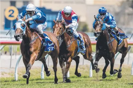  ?? Picture: JERAD WILLIAMS ?? Smart mare Sheza Lily chalks up one of her five wins at the Gold Coast track.