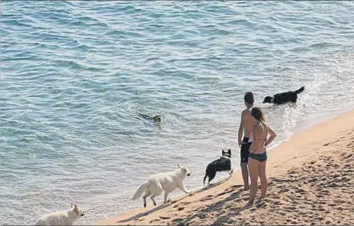  ?? PEDRO CATENA/ARCHIVO ?? Una imagen que ya no se podrá repetir en la cala de Les Banyeretes de Sant Pol de Mar