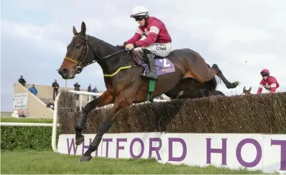  ??  ?? A Genie In Abottle, with Sean Flanagan up, on the way to winning the MW Hickey Memorial Chase at Wexford