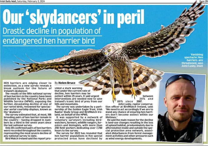  ?? ?? Vanishing spectacle: Hen harriers are threatened, says John Lusby, inset