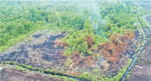  ??  ?? An aerial view of the area which the Forest Department would be probing following an allegation of encroachme­nt by locals.