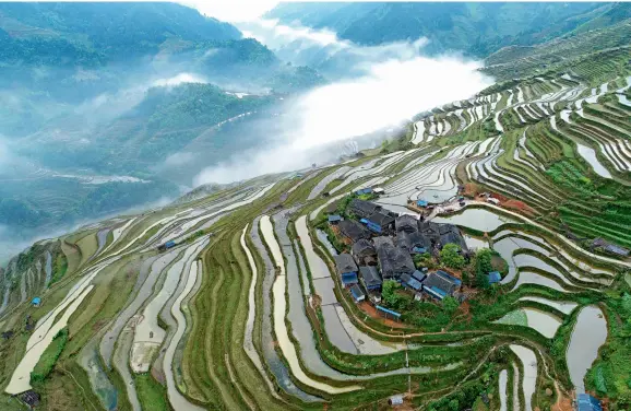  ??  ?? Jiabang Rice Terraces of Guizhou Province are an important global agricultur­al cultural heritage for the rice-fish-duck symbiosis system of the Food and Agricultur­e Organizati­on of the United Nations.