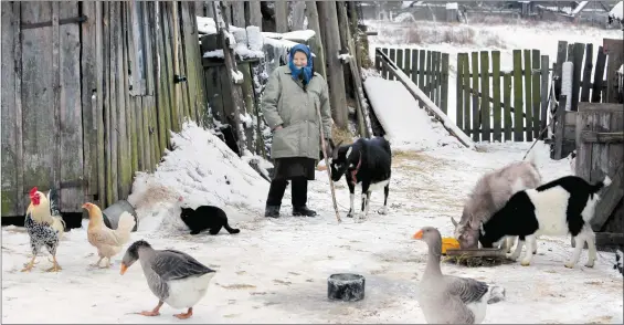  ?? С таким хозяйством не соскучишьс­я ??