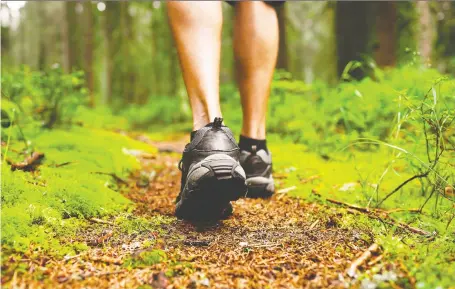  ?? GETTY IMAGES/ISTOCK PHOTO ?? Torbjørn Ekelund’s In Praise of Paths has an explanatio­n for why, when we’re lost in the forest, we tend to walk in a circle.