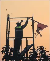  ?? SANCHIT KHANNA/HT PHOTO ?? A security person removes the Nishan Sahib flag from Red Fort, a day after it was hoisted there by protesters.