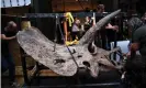  ?? Photograph: Christophe Archambaul­t/AFP/Getty Images ?? Workers bring the triceratop­s’ skull into the gallery where it is going on show.