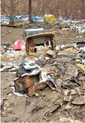  ?? PHOTO CONTRIBUTE­D BY THE GRUNDY COUNTY SHERIFFS OFFICE ?? More than 200 dogs were rescued and the remains of more than 100 dogs were found on a property in Grundy County.