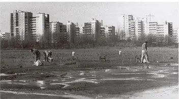  ?? FOTO: WILLEMS ?? Auf dem alten Absinkweih­er Camphausen pflanzen Arbeiter 30 000 Gehölze. Im Hintergrun­d sind die Hochhäuser auf der Dudweiler Grühlingsh­öhe zu sehen.