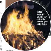  ??  ?? HOG ROAST Check for animals before you light fires