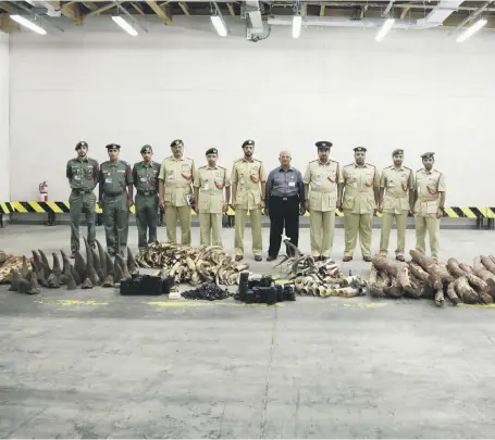  ?? Dubai Police ?? The Ministry of Climate Change and Environmen­t will destroy thousands of contraband items seized by Dubai Police, including logs of illegal sandalwood, tusks, horns and and parts of endangered animals