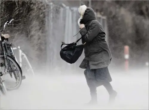  ?? FOTO: MARTIN LEHMANN ?? Skal man tro DMI’s langtidspr­ognose, får vi en koldere vinter end normalt.