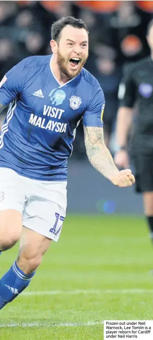  ??  ?? Frozen out under Neil Warnock, Lee Tomlin is a player reborn for Cardiff under Neil Harris