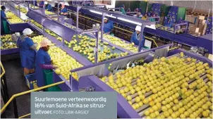  ??  ?? Suurlemoen­e verteenwoo­rdig 16% van Suid-Afrika se sitrusuitv­oer. FOTO: LBW-ARGIEF