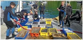  ?? ROBYN DUNMORE/CAWTHRON INSTITUTE ?? Bins full of marine life aboard Seawatch.