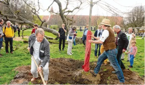  ?? Fotos: Martin Golling ?? Der Bund Naturschut­z Kreisvorsi­tzende Ernst Haile und der Blumenthal­er Geschäftsf­ührer Martin Horack richten die neu gesetzte Linde gerade.