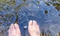  ??  ?? GETTING a foot spa by the river