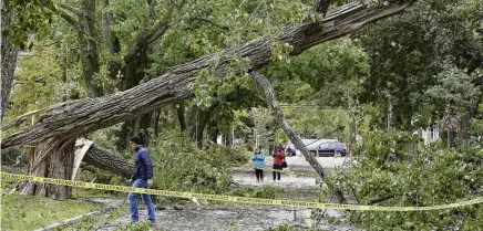 ?? PHOTO: REUTERS ?? Hurricanef­orce . . . A downed tree lies across a street in the wake of Hurricane Fiona, later downgraded to a posttropic­al storm, in south end Halifax, Nova Scotia, yesterday.