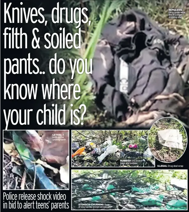  ??  ?? LETHAL A knife in the undergrowt­h RUBBISH Discarded bags and bottles REPULSIVE Dirty underwear lies in Lurgan drinking site ILLEGAL Drug deal wrap STOMACH-CHURNING Bags of dog faeces strewn across site