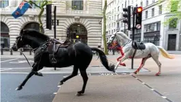  ?? ?? Two of the four horses which broke free in central London on Wednesday