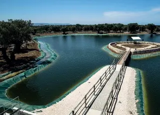  ??  ?? A Fasano
Il lago di Forcatella alimentato dal depuratore della società Aquasoil