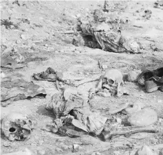  ?? — Reuters photo ?? File photo shows human skulls are seen in a mass grave on the outskirts of the town of Sinjar, Iraq.