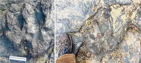  ??  ?? Senseless destructio­n: The dinosaur footprint (left) before it was damaged by vandals (right) at Flat Rocks, Victoria. — AFP