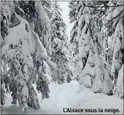  ??  ?? L’Alsace sous la neige.