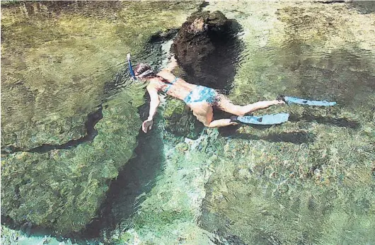  ?? JOE BURBANK/ORLANDO SENTINEL ?? John Pennekamp Coral Reef State Park is known for its excellent snorkeling. The park is open from 8 a.m. until sundown, 365 days a year.