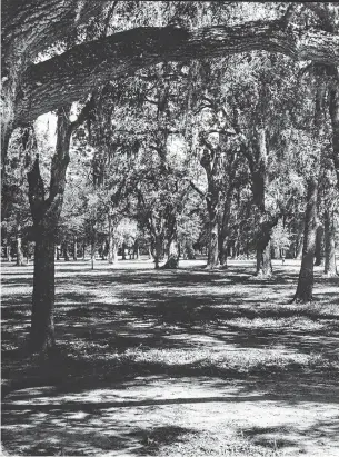  ?? Staff file photo ?? William D. Darling has set another novel in Fort Anahuac Park.