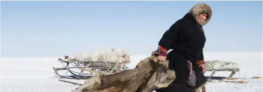  ?? (Courtesy My Heritage) ?? A NENETS tribe member is seen on the MyHeritage expedition.