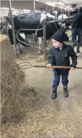  ??  ?? Félix, le fils d’Olivier Poutré et Lindsay Monette, est un petit bonhomme passionné par les travaux de la ferme. Il adore aller à l’étable et aider à sa façon ou jouer dans le foin.
