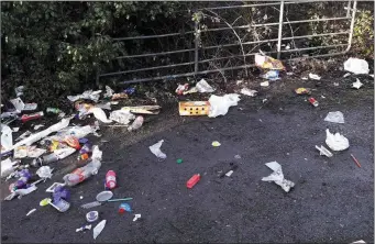  ??  ?? Domestic waste which was dumped near Banteer Community Sportsfiel­d on Saturday by a walker.