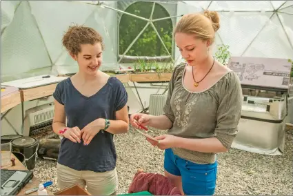  ?? TALI GREENER/SPECIAL TO THE DAY ?? Williams School students Oaklea Elfström, right, and Amy Burzin, left, both 16, test the chemical levels of water from a fish tank, housing 18 tilapia that they are raising inside a geodesic dome at Elfstrom’s East Haddam home on June 6.