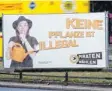  ?? Foto: dpa ?? Die Piraten sind bekannt für ihre ungewöhnli­chen Wahlplakat­e.