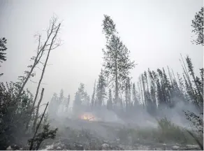  ?? THE CANADIAN PRESS/FILES ?? Alberta’s forest fire season used to start in April, now there are wildfires in February.