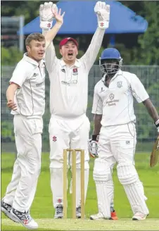  ?? Picture: Andy Payton FM4398762 Buy this picture from kentonline.co.uk ?? Tenterden bowler Jamie Bristow-Diamond and wicketkeep­er Ben Price appeal for lbw against Dartford