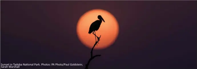  ??  ?? Sunset in Tadoba National Park. Photos: PA Photo/Paul Goldstein; Sarah Marshall