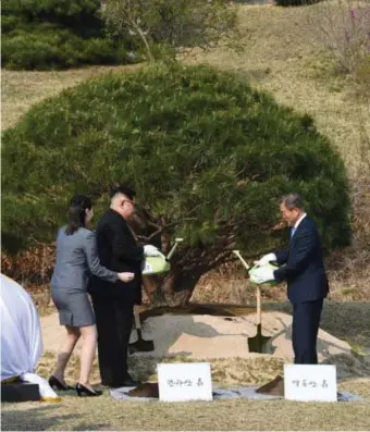  ?? © epaefe ?? Moon Jaein (r.) en Kim Jongun plantten in het grensdorp Panmunjom al een vredesboom. Iets te voorbarig of niet?