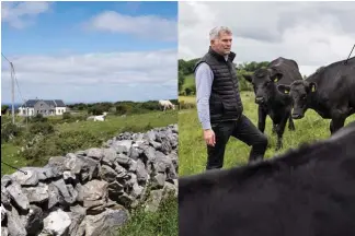  ??  ?? Linderos pétreos Los muros de piedras apiladas atraviesan toda Irlanda. Dividen los prados en parcelas, conservan el calor y resguardan del viento Sin desechos Tradiciona­lmente estos toros Angus procedente­s del sector lechero se enviaban a Holanda para...