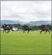  ??  ?? Horses during the trial at Sligo Racecourse.