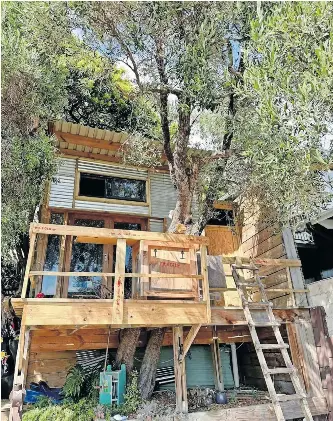Tree house for rent for R5000 - PressReader
